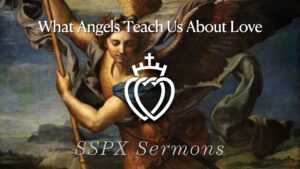 What Angels Teach Us about Love - SSPX Sermons