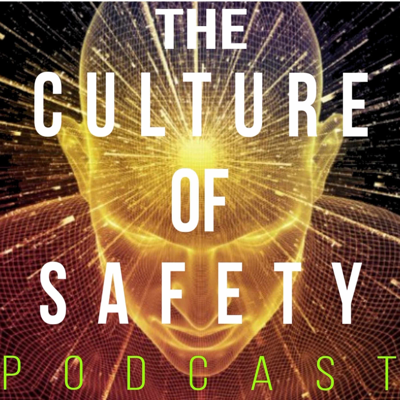 Show artwork for The Culture of Safety