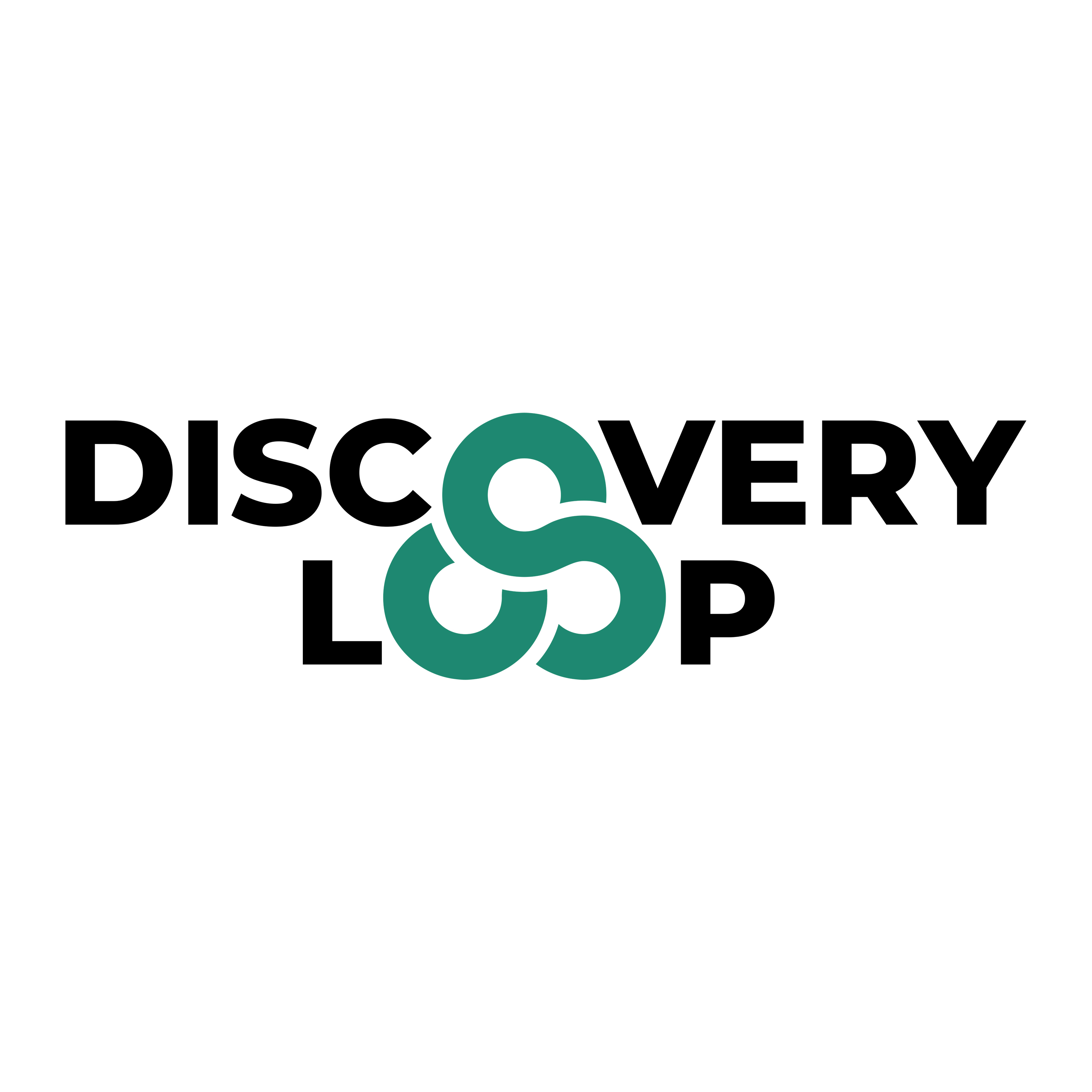 Discovery Loop