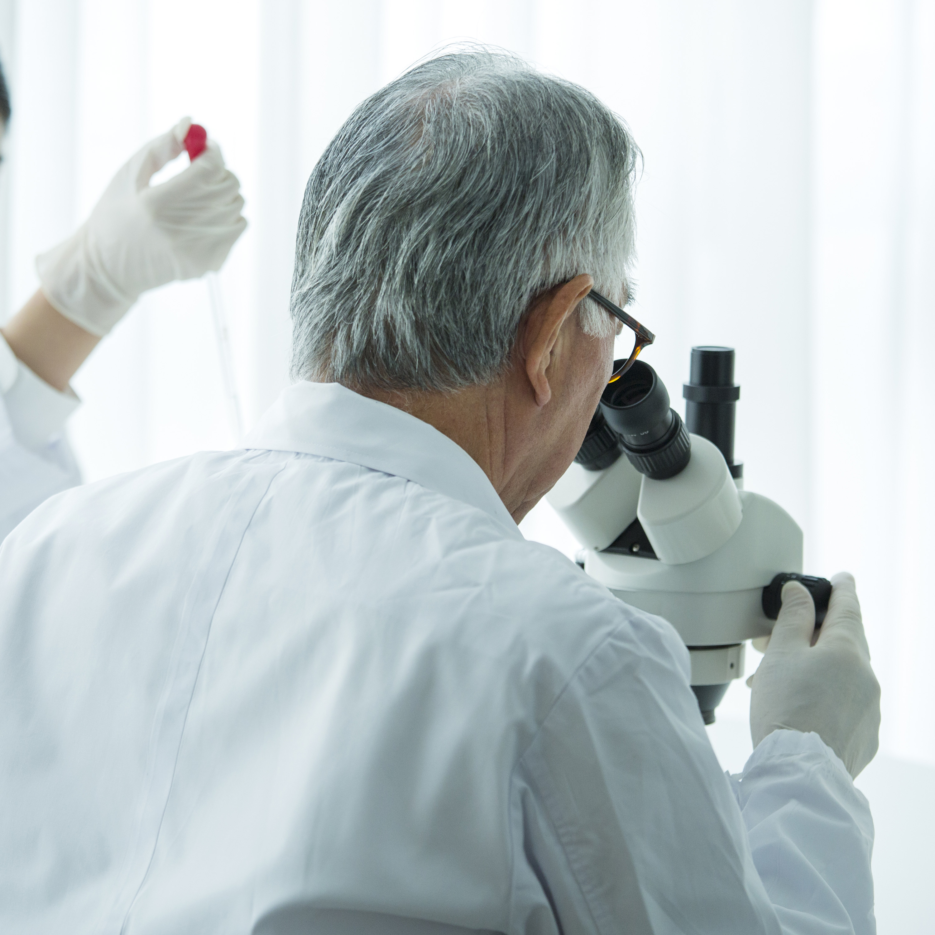 Politicised science, abortion law and the rise of Ro Khanna