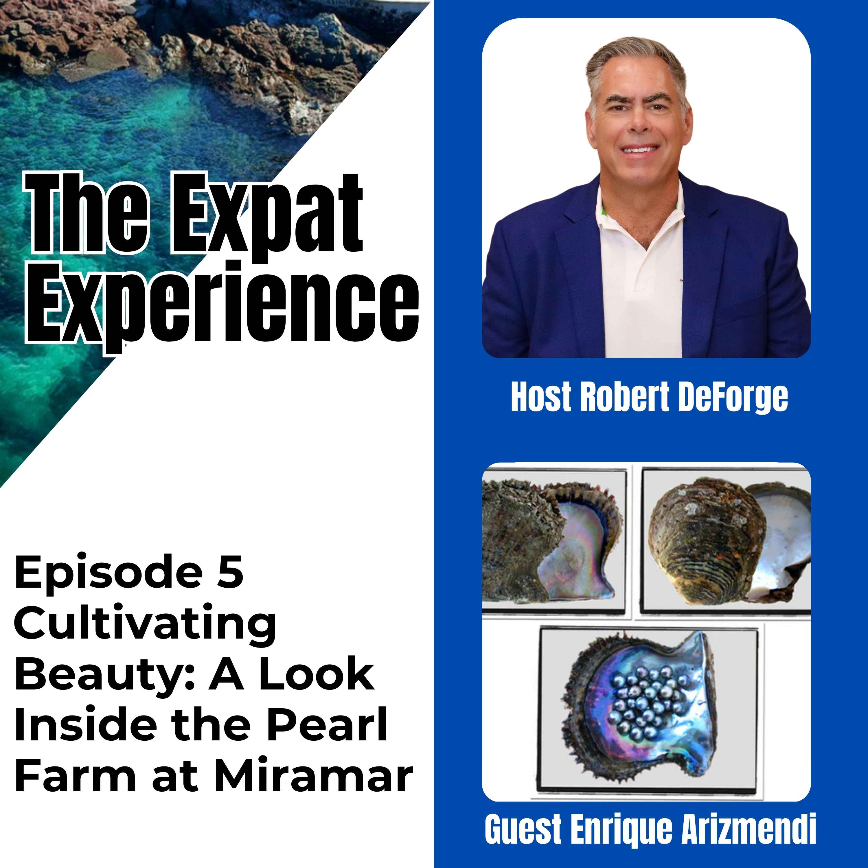 The Expat Experience