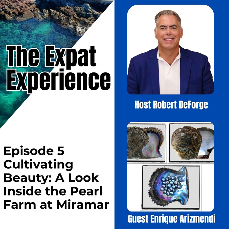 Artwork for podcast The Expat Experience