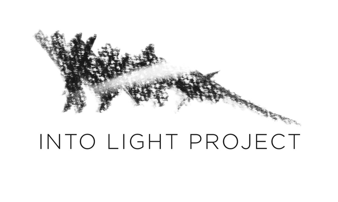 Into Light Project Using Art to Heal the Loss Theresa Clower and Debbie Simon