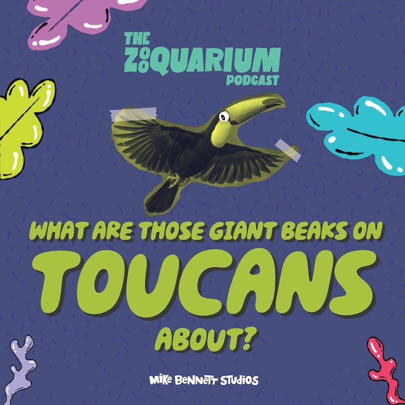 Artwork for podcast The Zooquarium Podcast