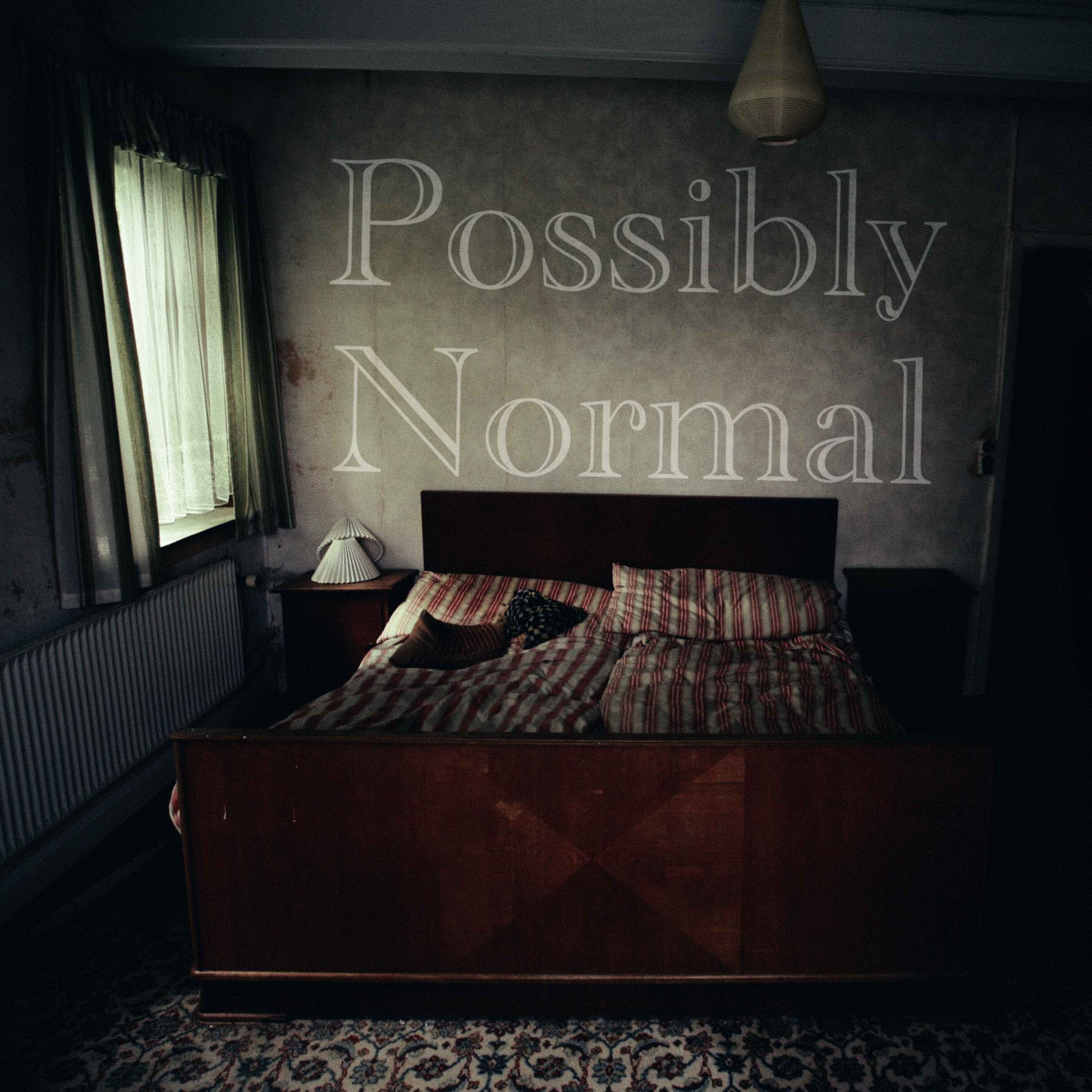 Show artwork for Possibly Normal