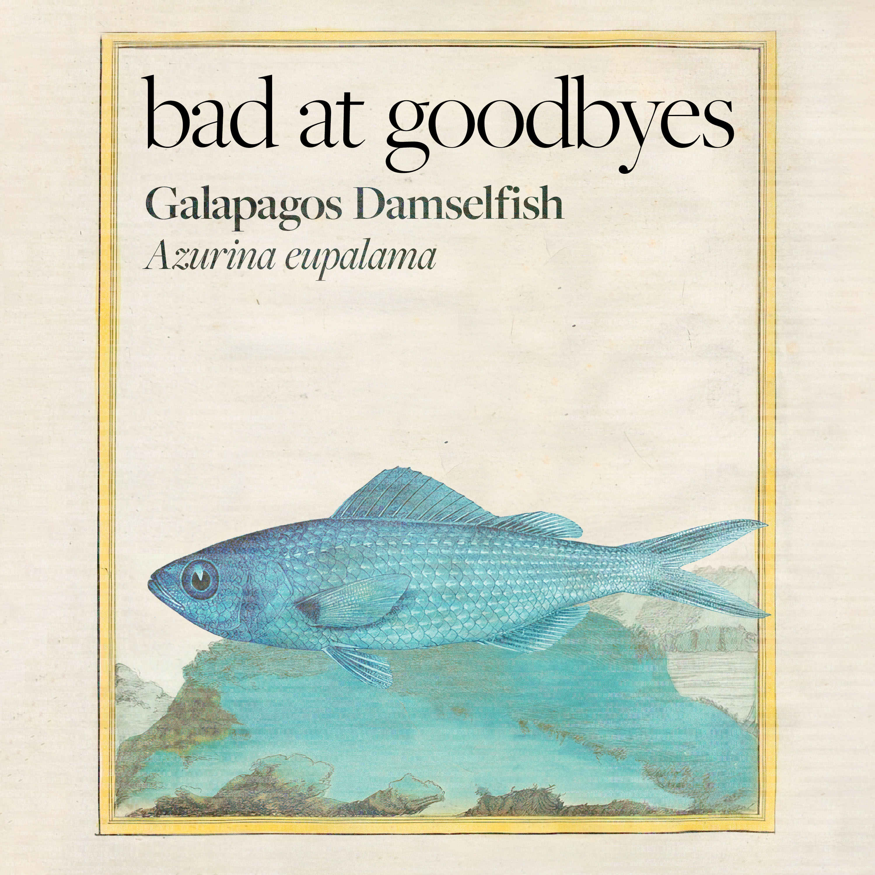 Bad at Goodbyes