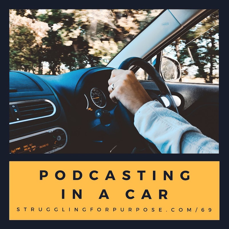 Artwork for podcast Struggling for Purpose