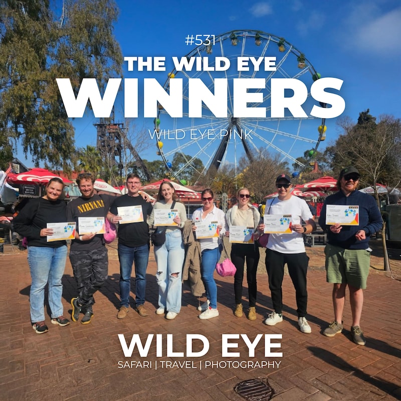 Artwork for podcast The Wild Eye Podcast