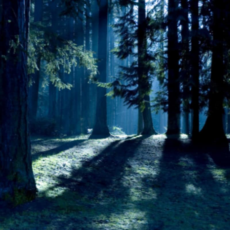 Artwork for podcast Pursuit of the Paranormal