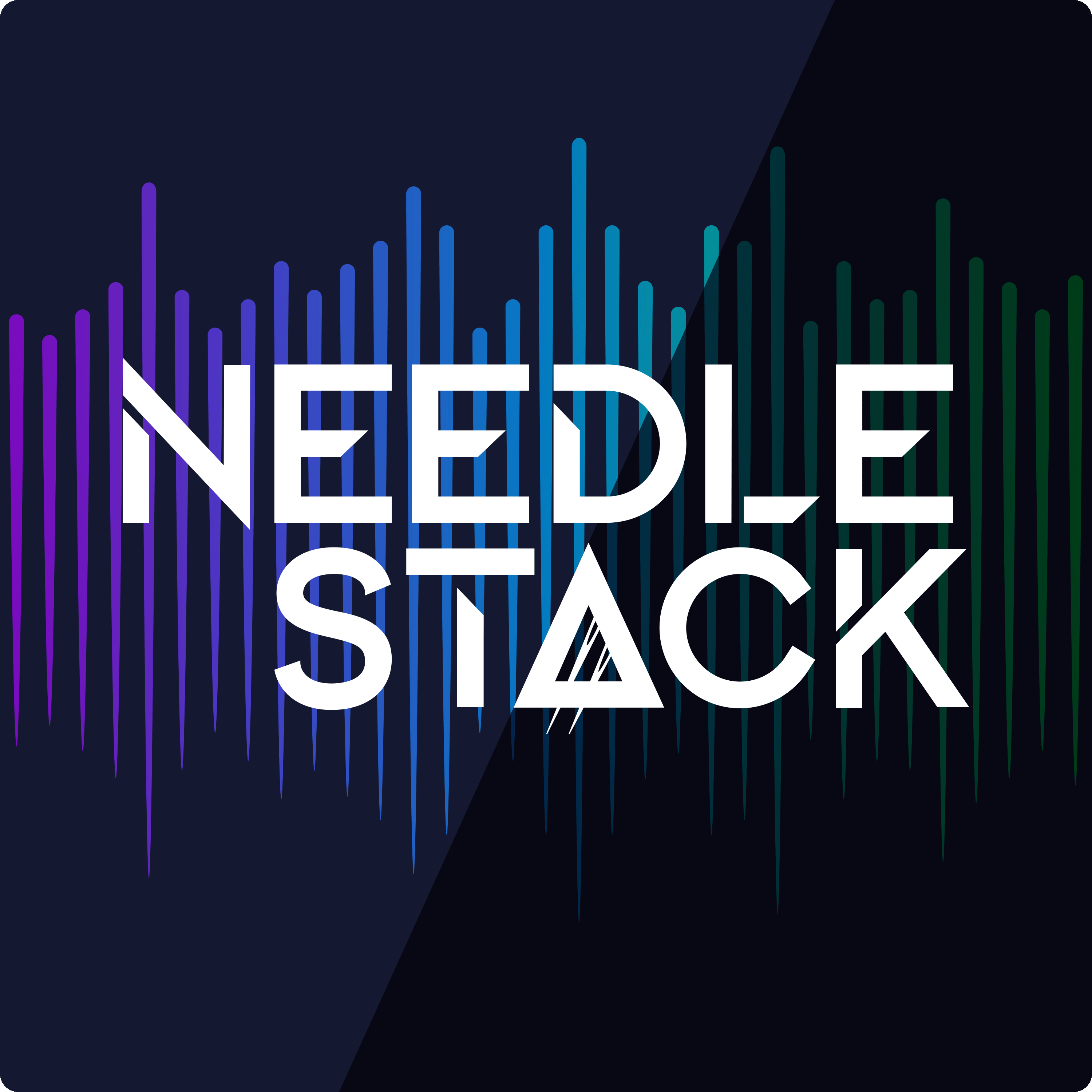 Artwork for podcast NeedleStack