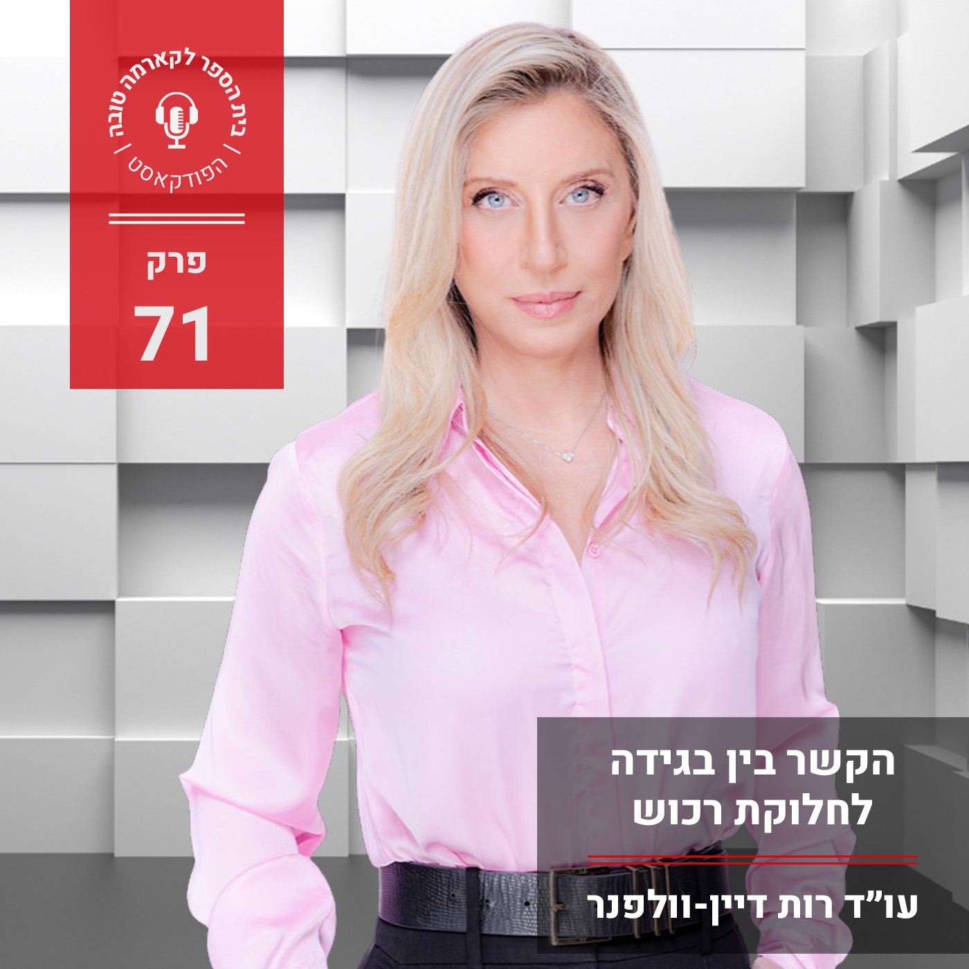 הקשר בין בגידה לחלוקת רכוש episode artwork