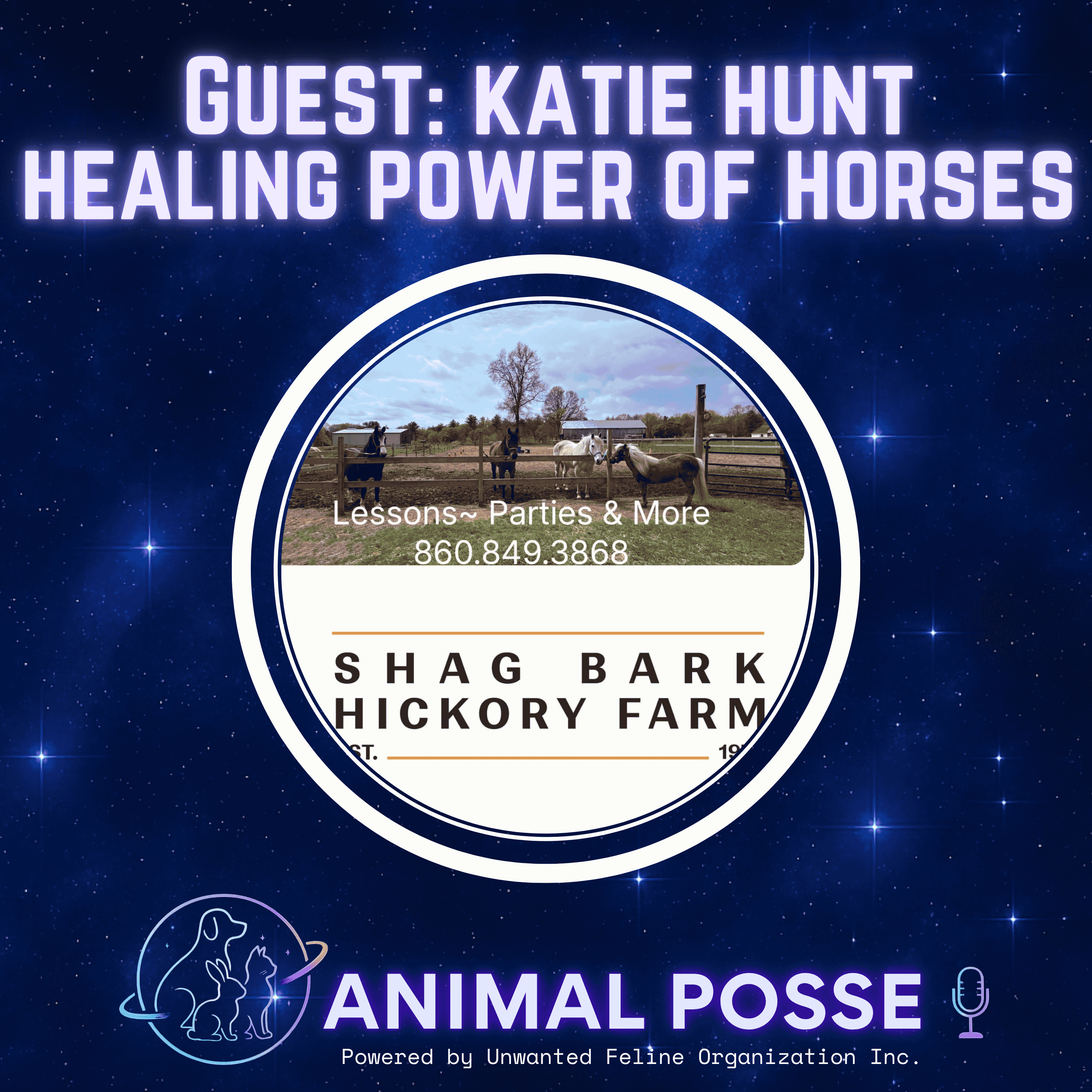 Horses Do Fix Everything — The Healing Power of Equine Therapy with Katie Hunt episode artwork
