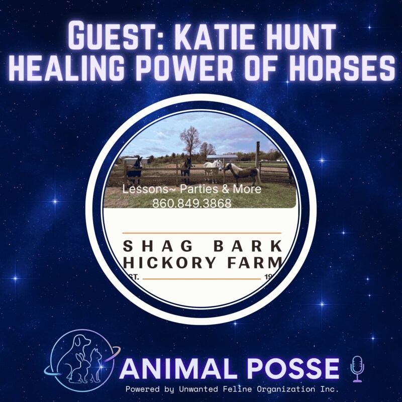 Artwork for podcast Animal Posse