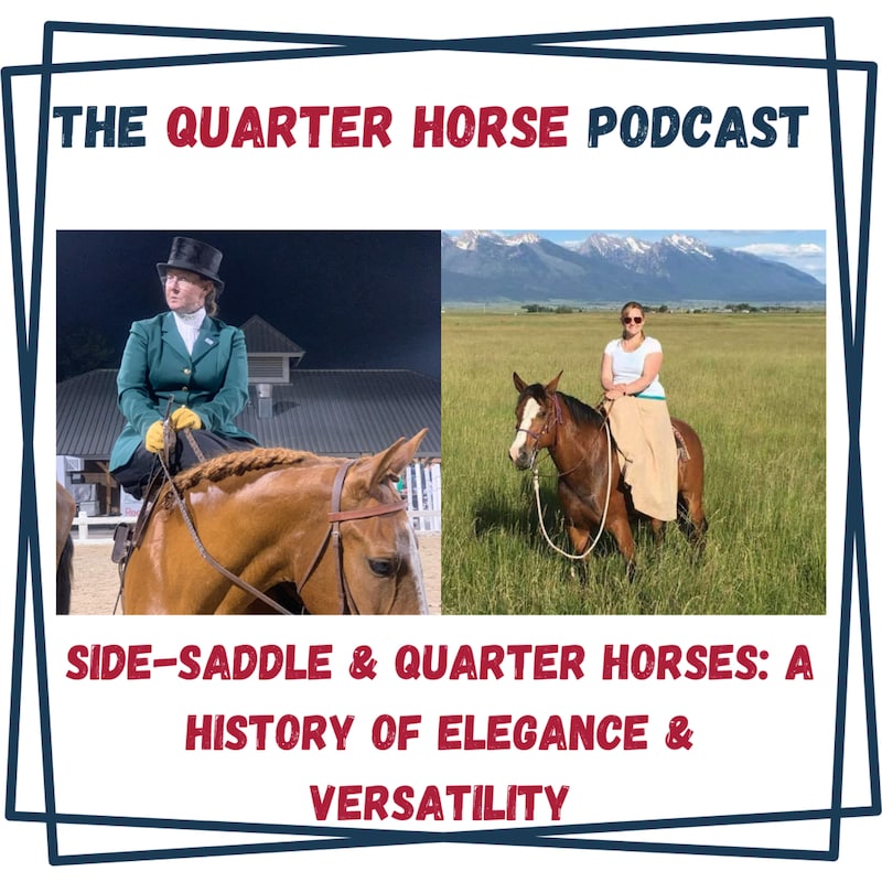 Artwork for podcast The Quarter Horse Podcast