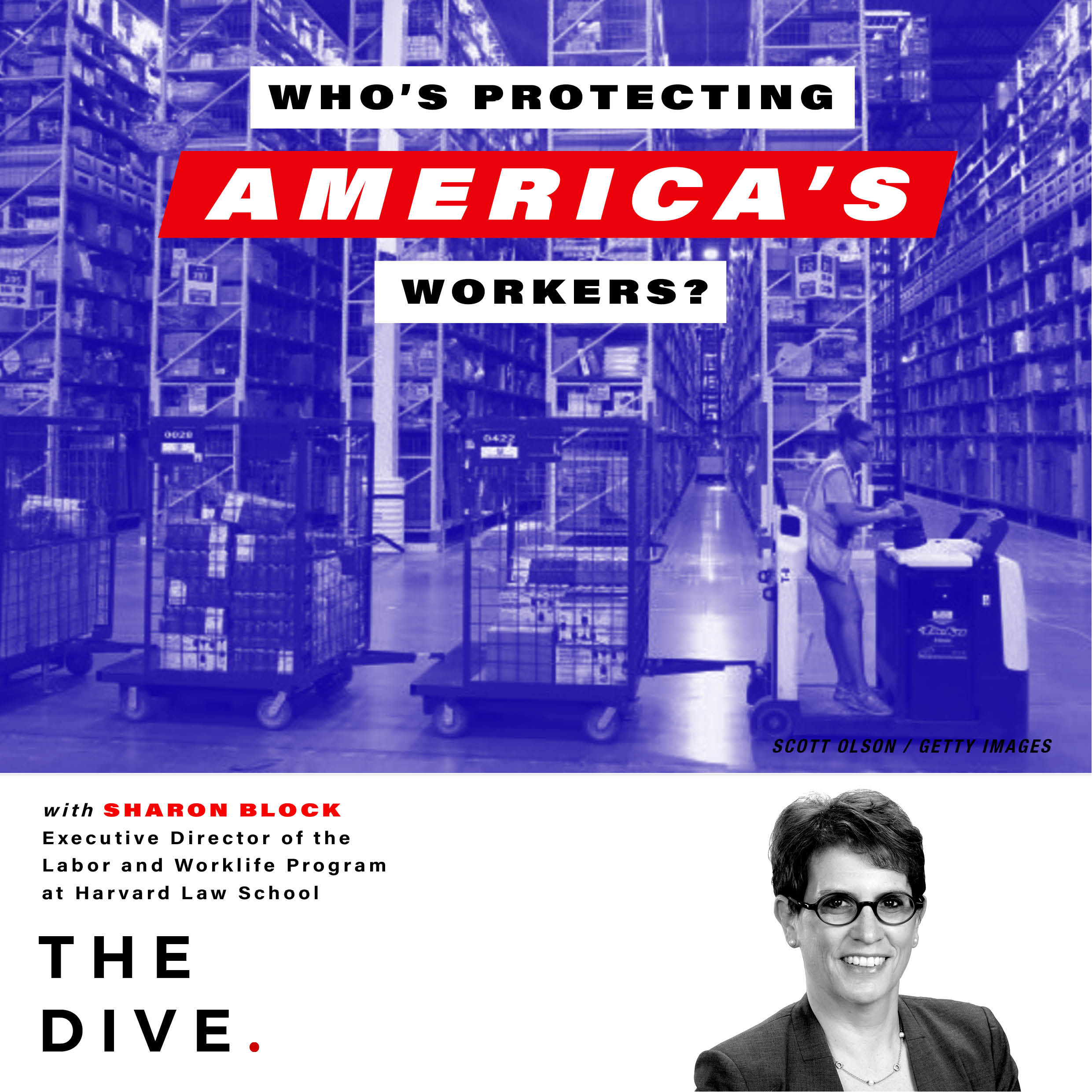 Artwork for podcast The Dive: Experts from Harvard and Beyond Explain The News