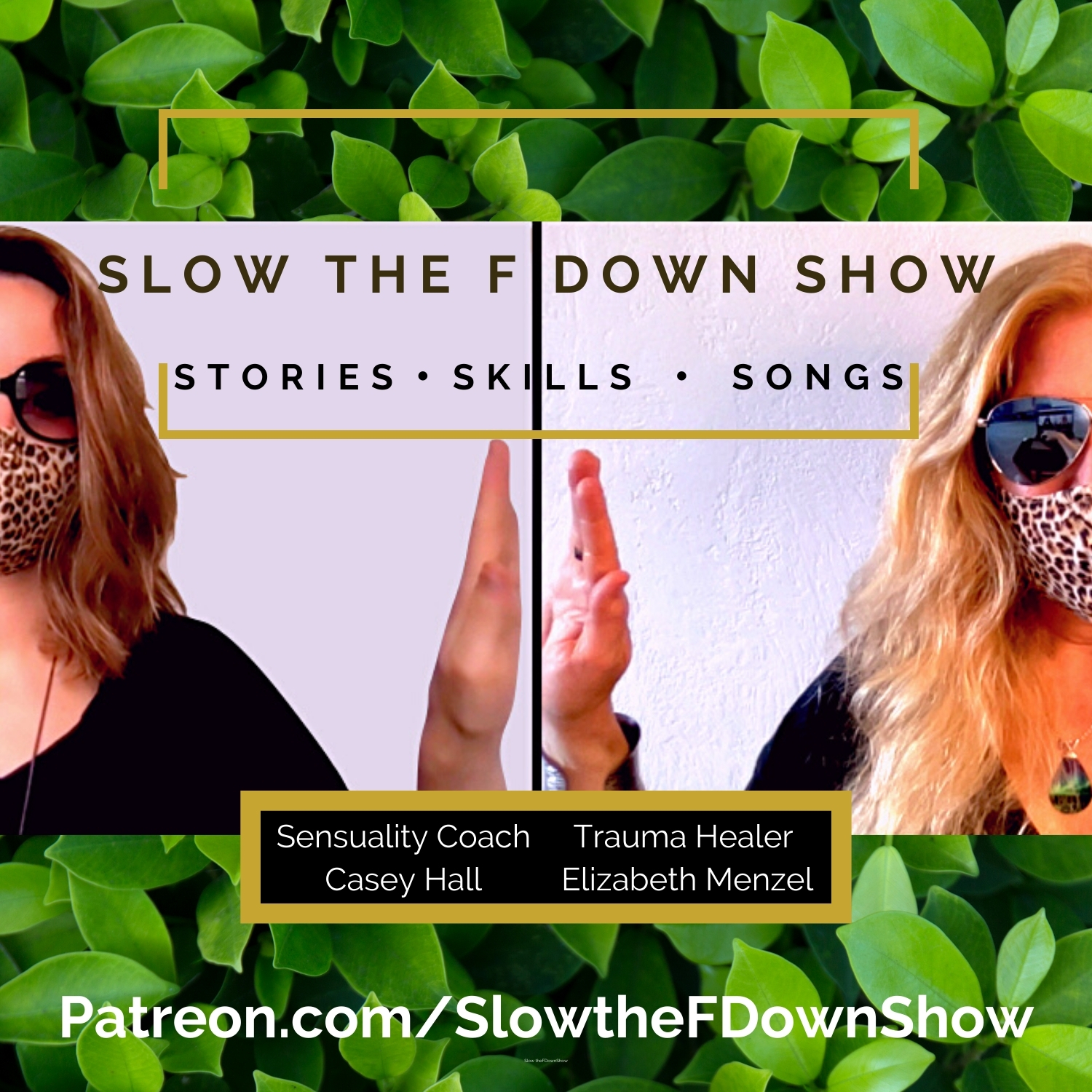 Artwork for podcast 🐌 Slow the F Down Show 🐢