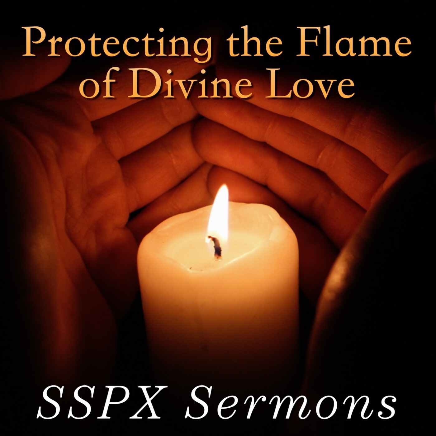 Protecting the Flame of Divine Love - SSPX Sermons