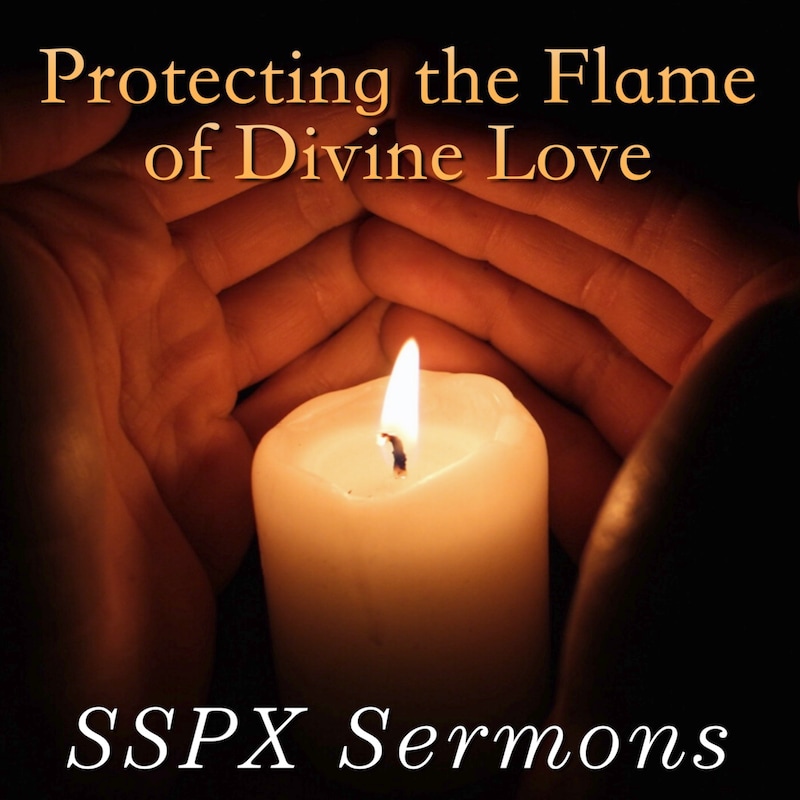 Artwork for podcast SSPX Sermons
