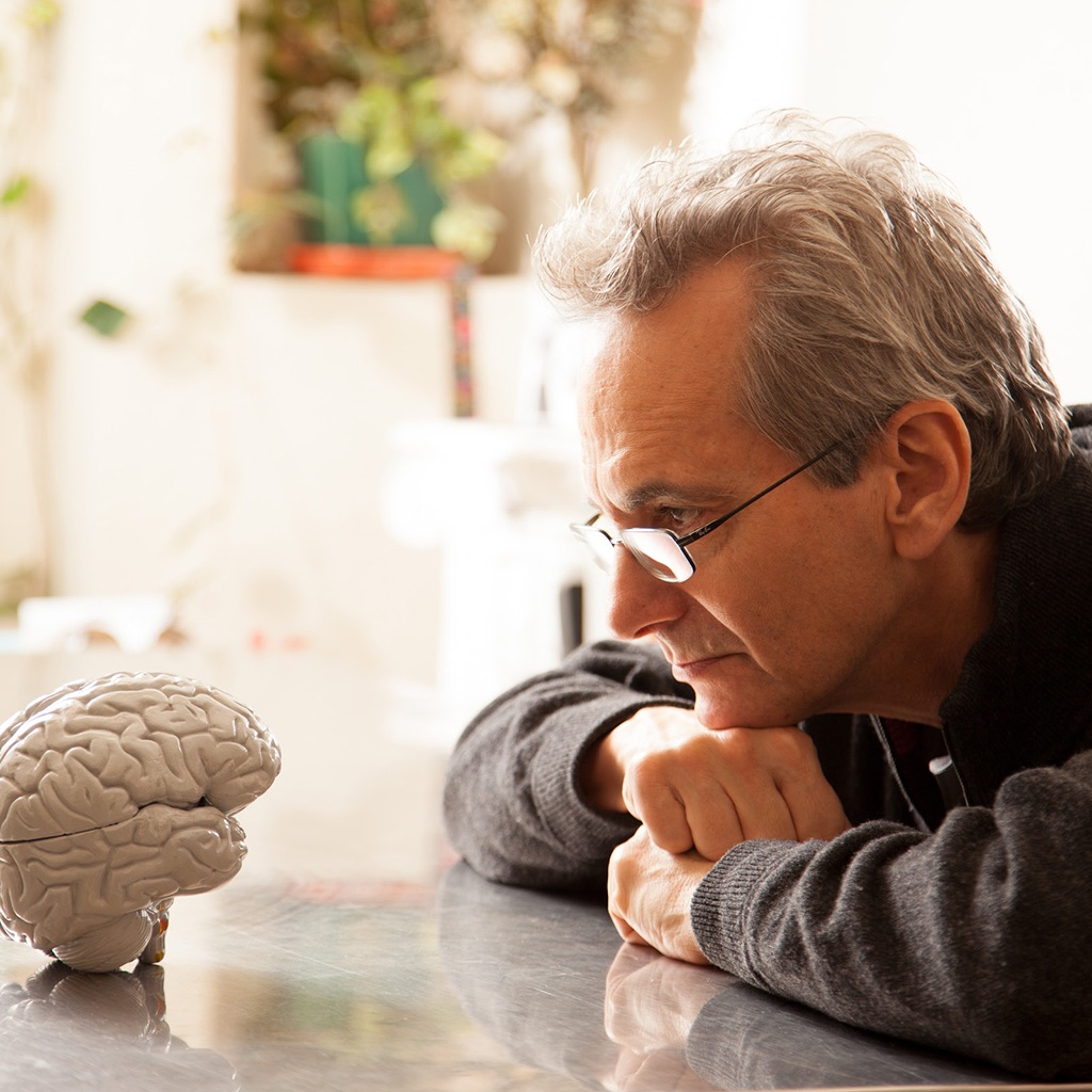 Memory Slips, Ageing and Strategies For Keeping Brain Healthy with Dr Gary Small episode artwork