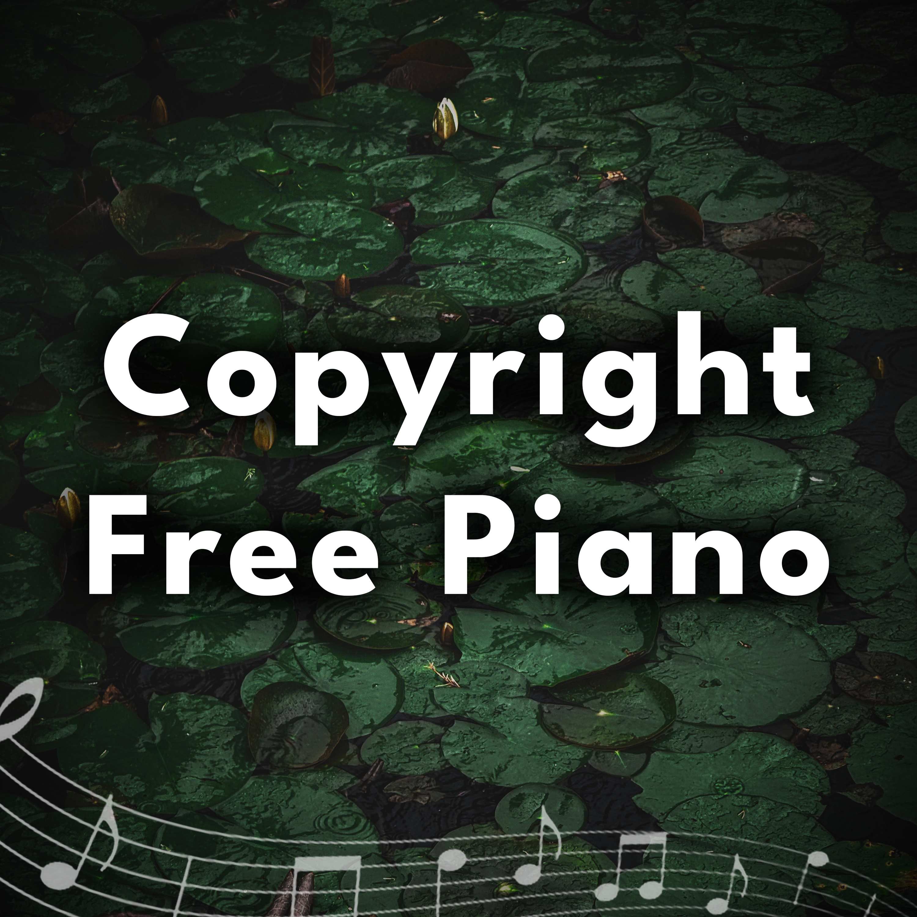No Copyright Piano with Gray Treefrogs - 8 Hours - "Midnight Bloom" episode artwork