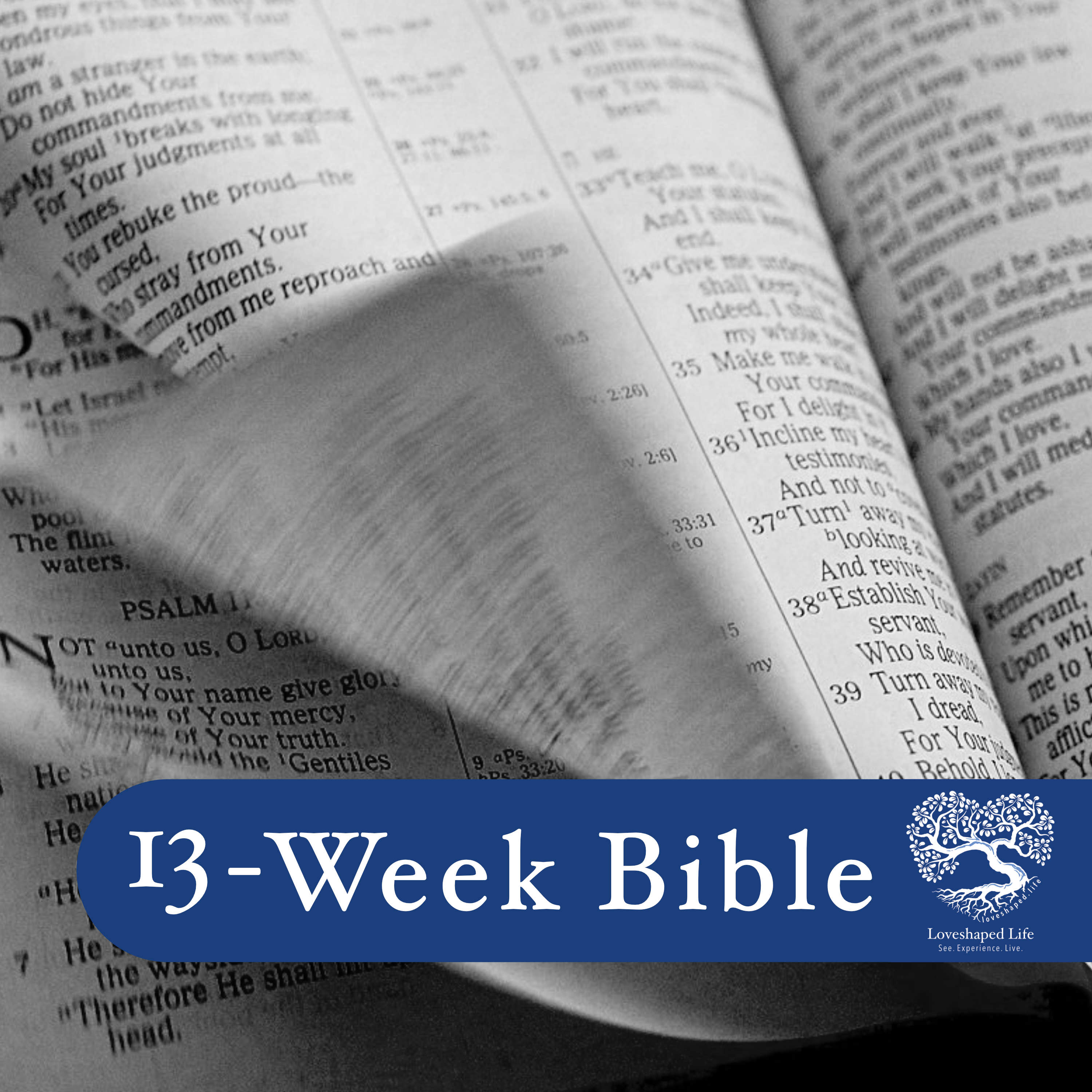 13 Week Bible (Bible in 90 Days)