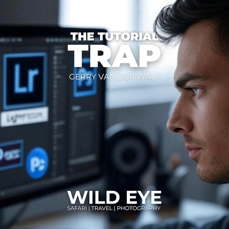 Artwork for podcast The Wild Eye Podcast
