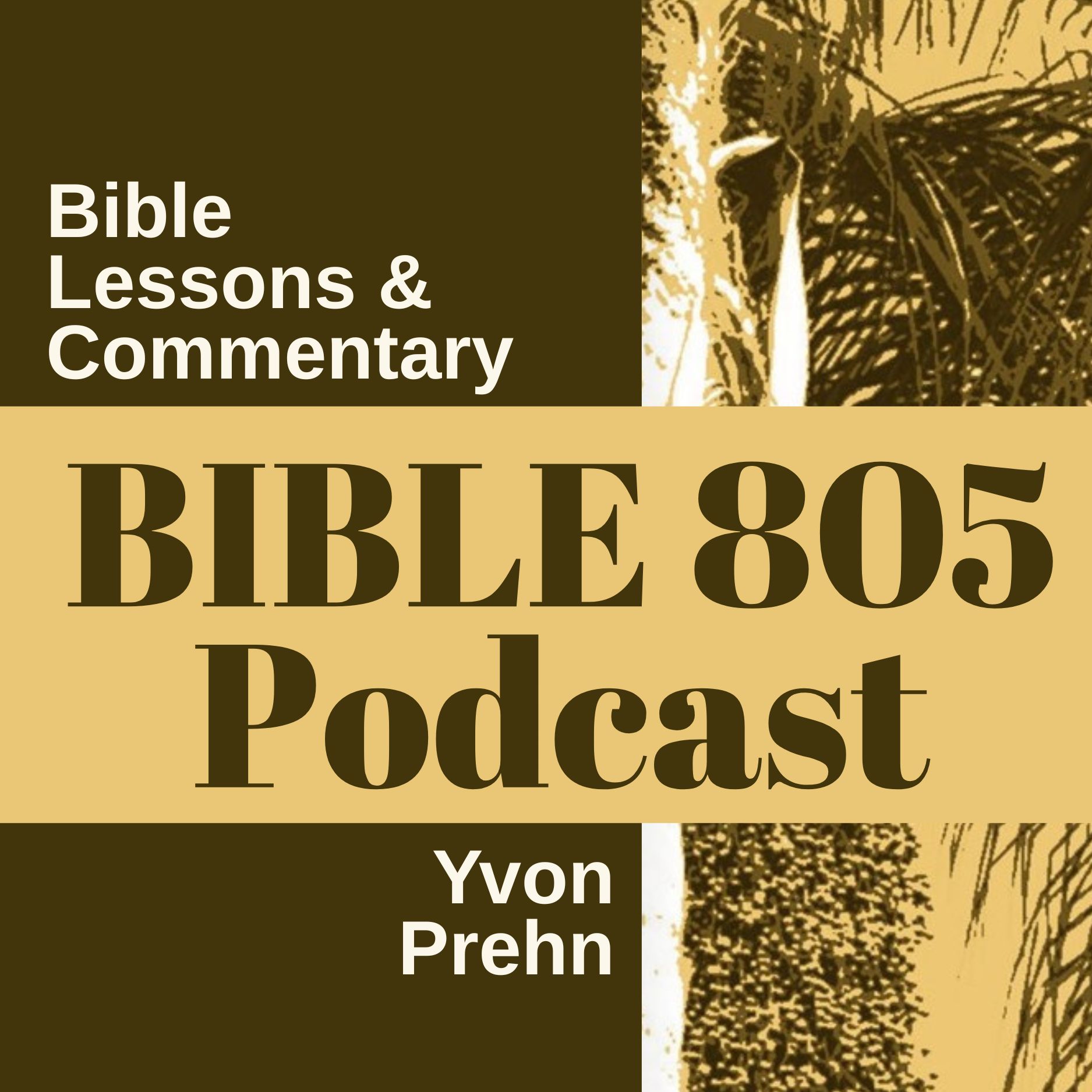 Show artwork for Bible805
