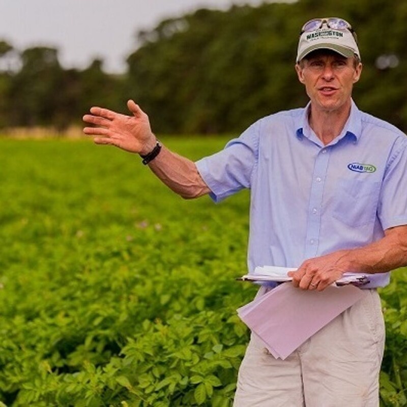 Artwork for podcast AHDB Food & Farming