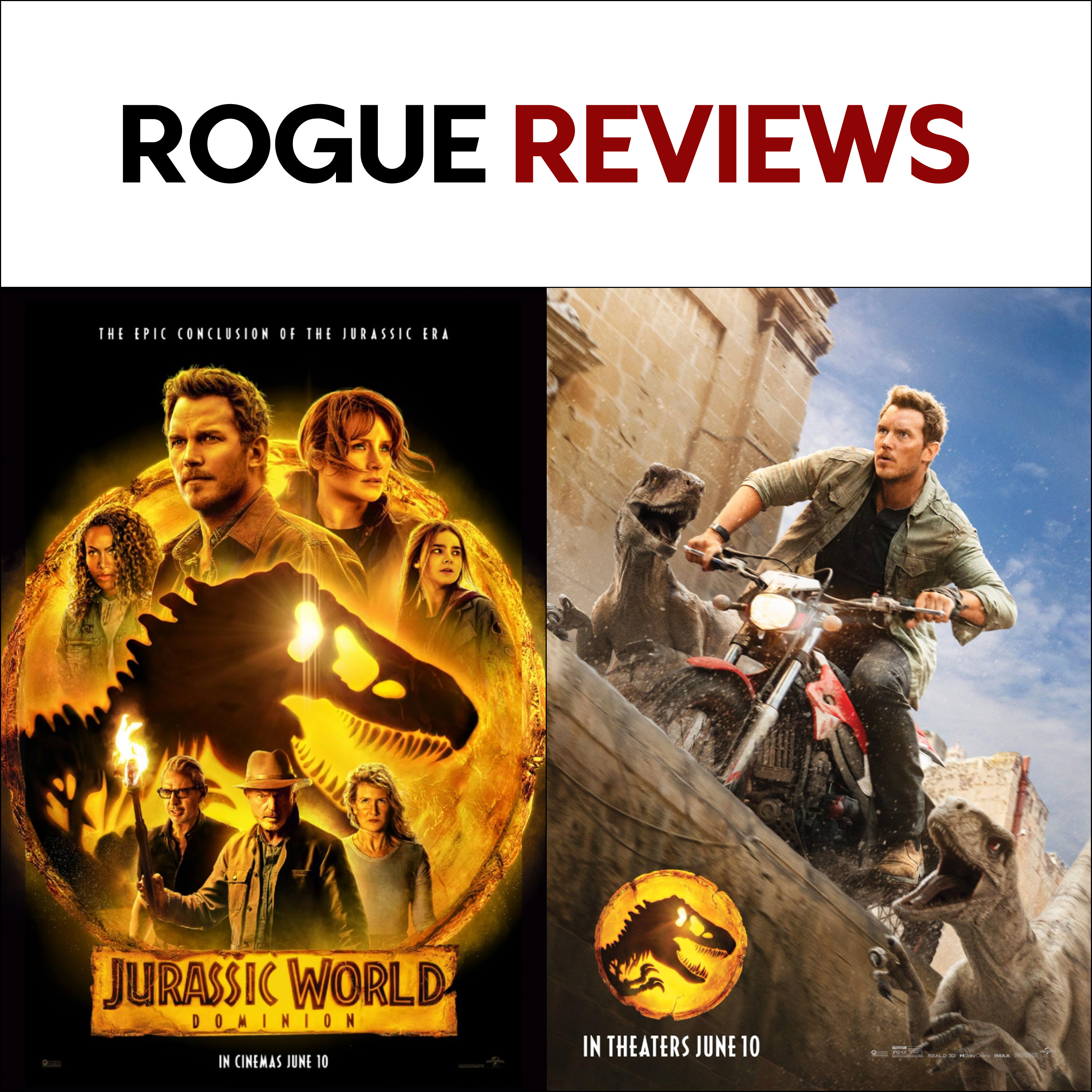 Rogue Reviews