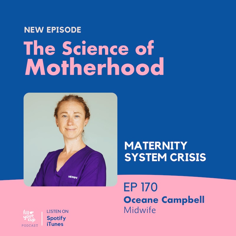 Artwork for podcast The Science of Motherhood
