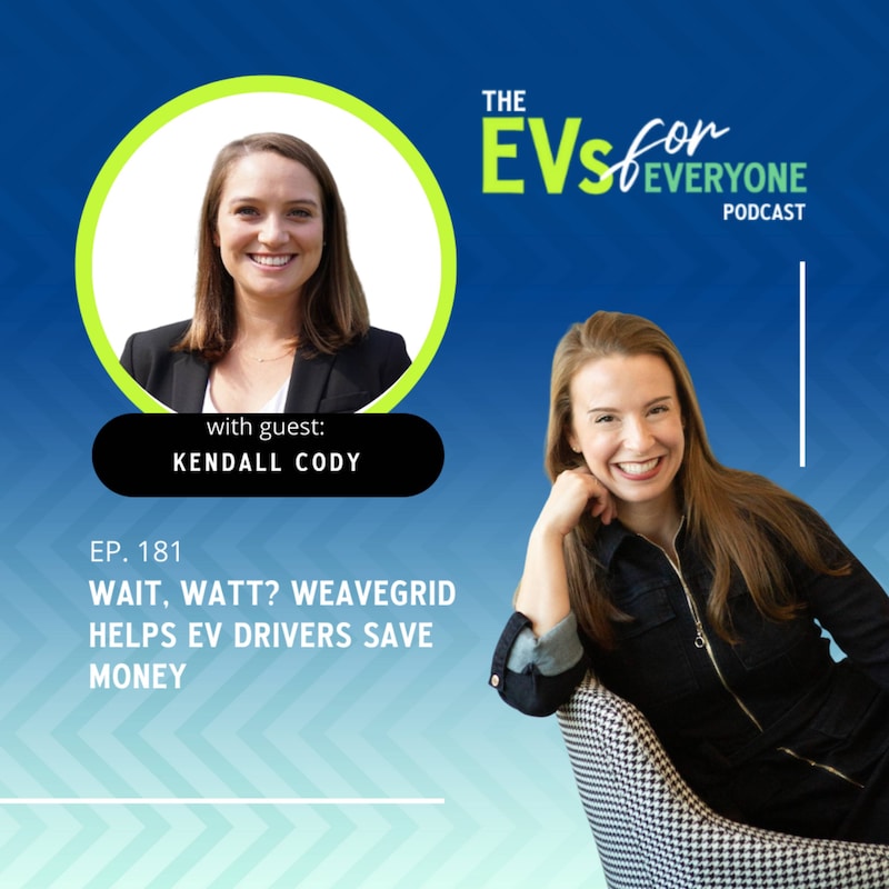 Artwork for podcast The EVs for Everyone Podcast