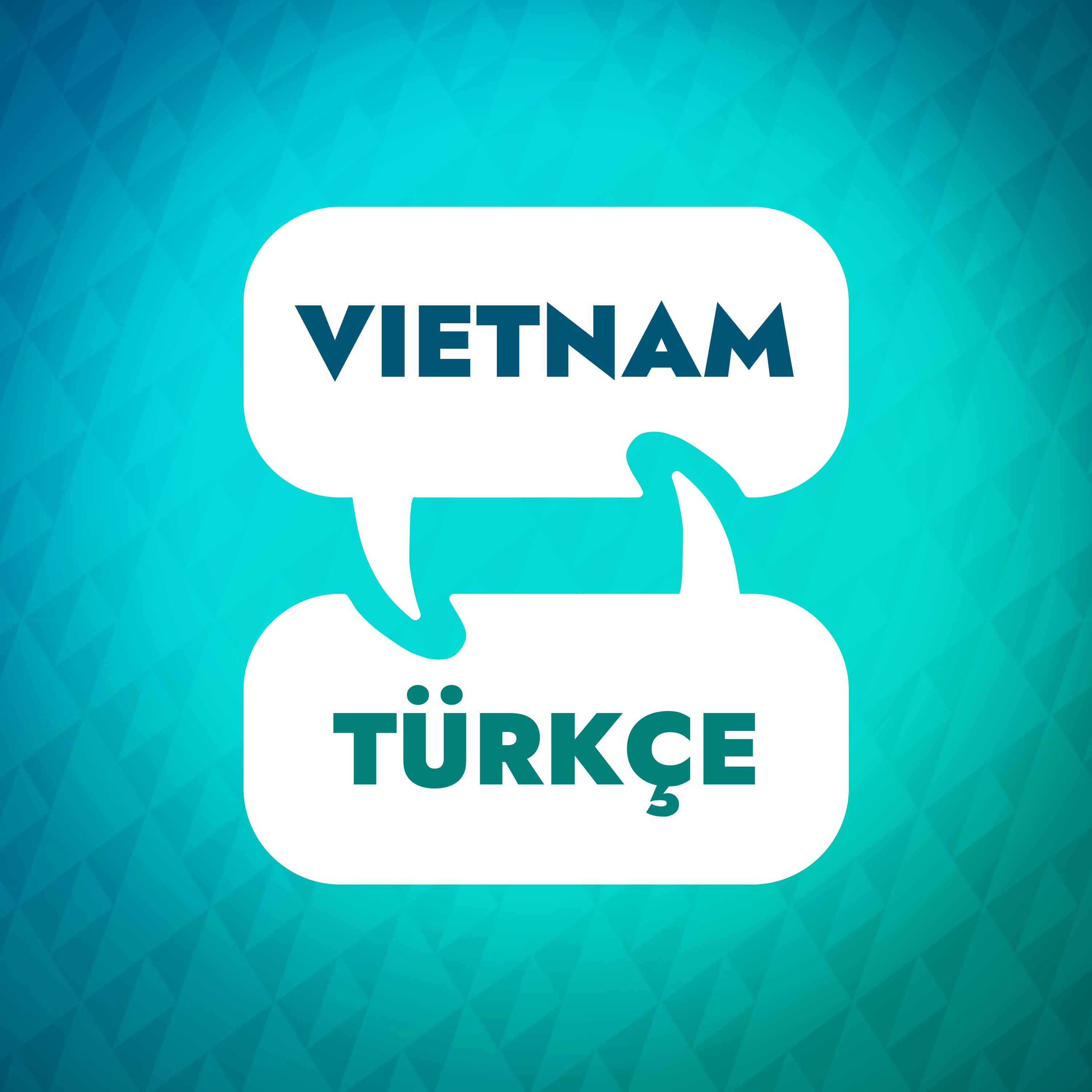 Artwork for Vietnamca Öğrenme Hızlandırıcı