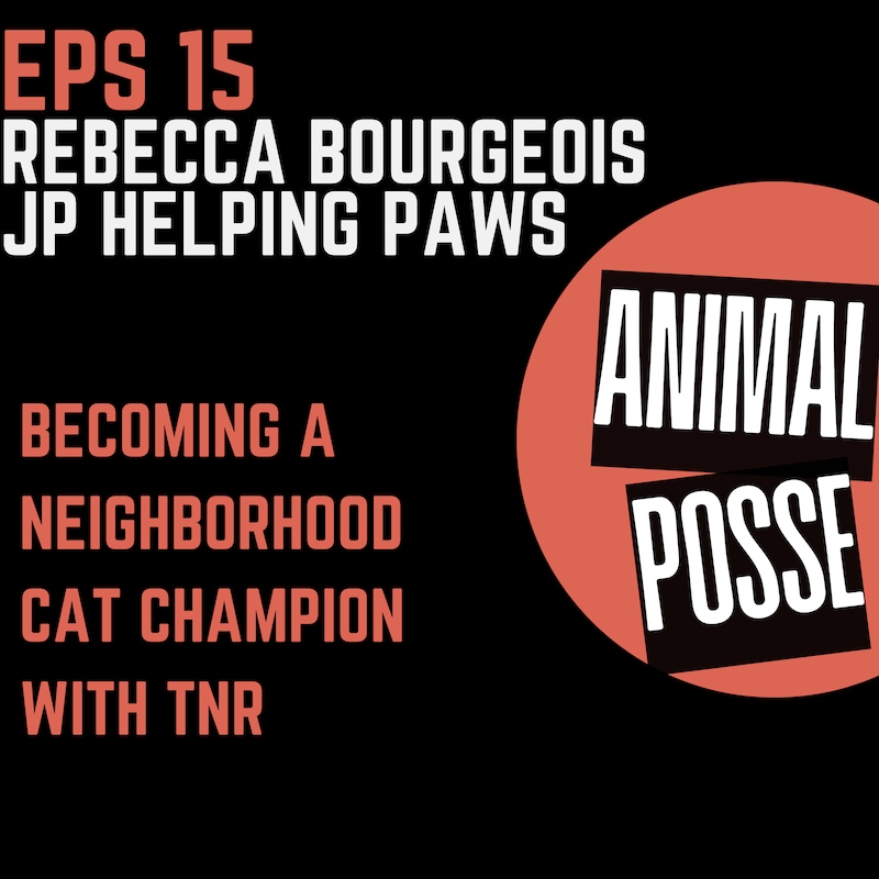 Artwork for podcast Animal Posse