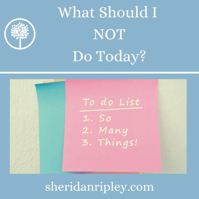 #18 What Should I NOT Do Today? episode artwork