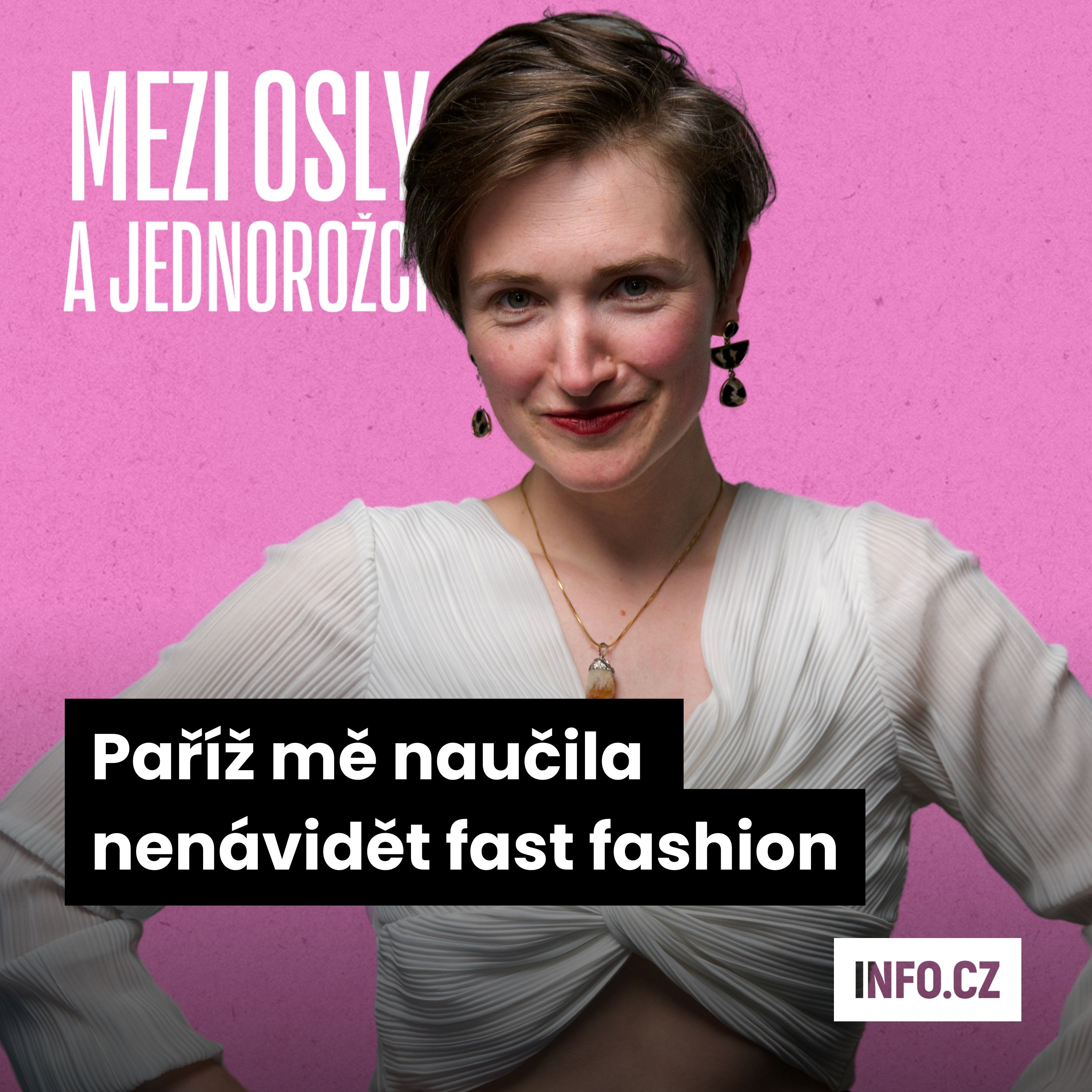 Mezi osly a jednorožci