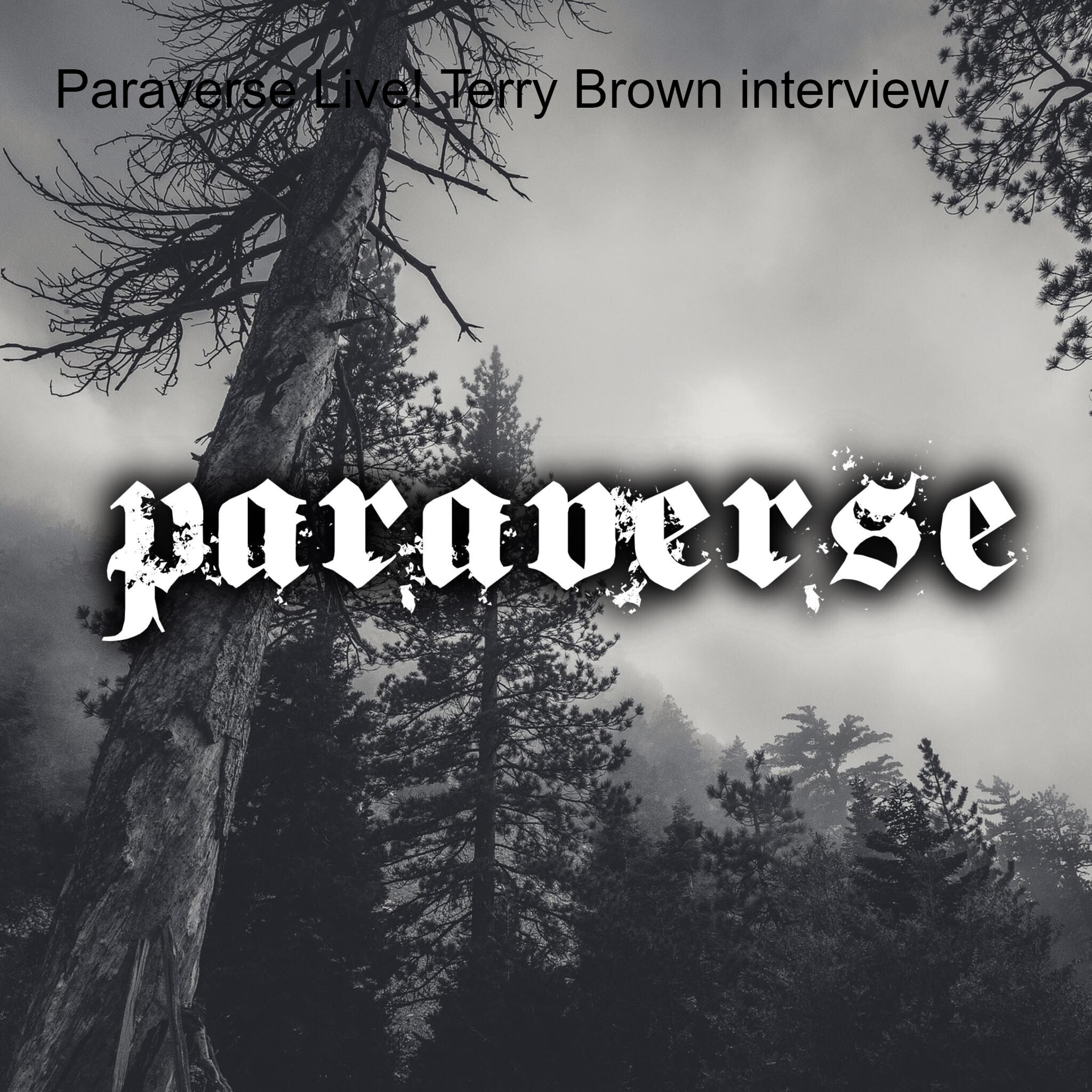 Paraverse - Live show and podcast series