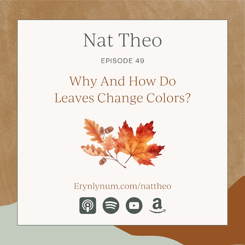 Artwork for podcast Nat Theo Nature Lessons Rooted in the Bible