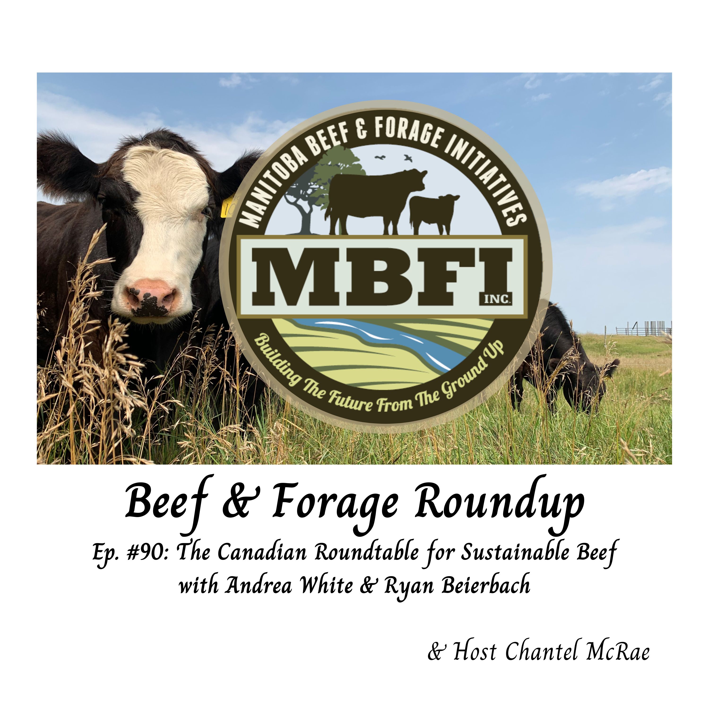 Beef and Forage Roundup