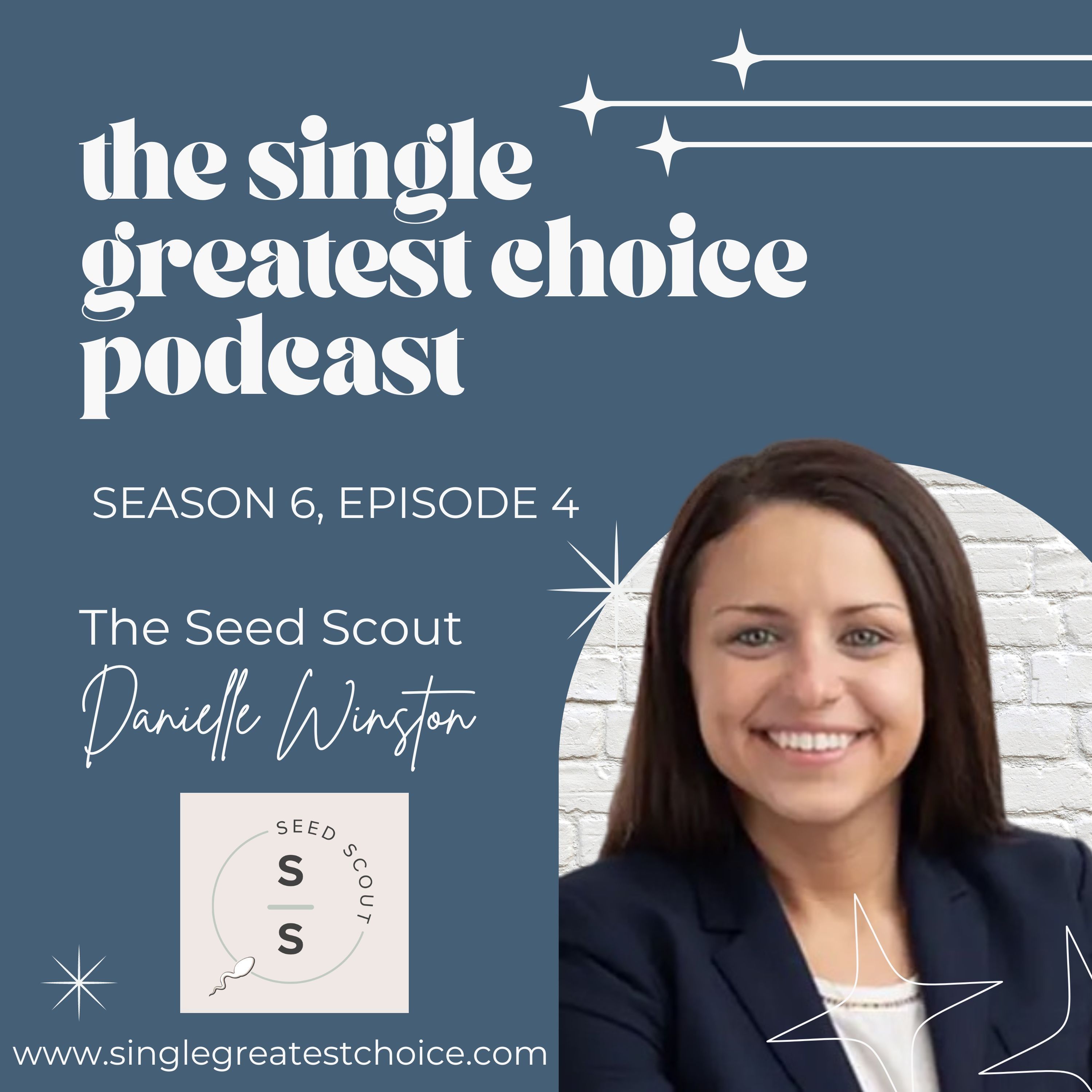 The Single Greatest Choice: For Single Women Exploring Solo Motherhood by Choice (SMBC), Fertility, and Having a Baby on Their Own Through Donor Conception or Adoption