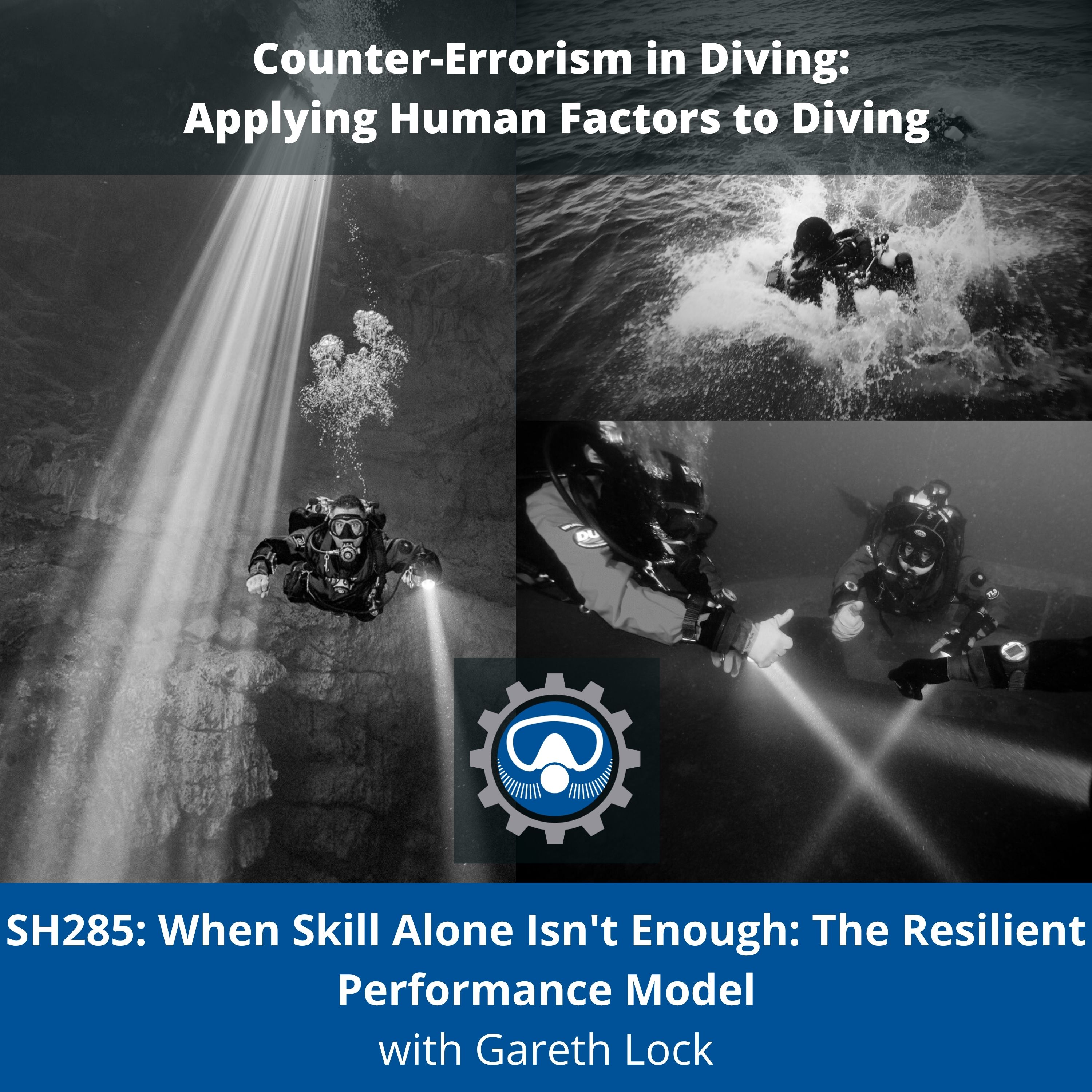 SH285: When Skill Alone Isn't Enough: The Resilient Performance Model