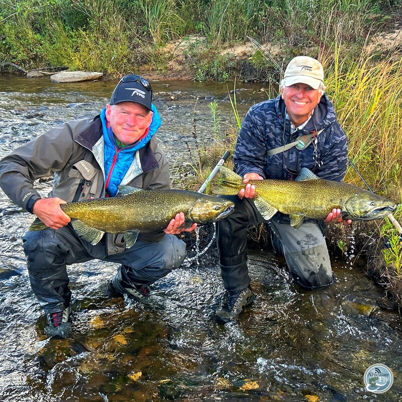 Artwork for podcast The Articulate Fly