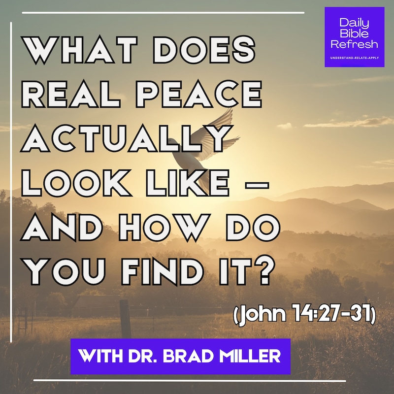 Artwork for podcast Daily Bible Refresh