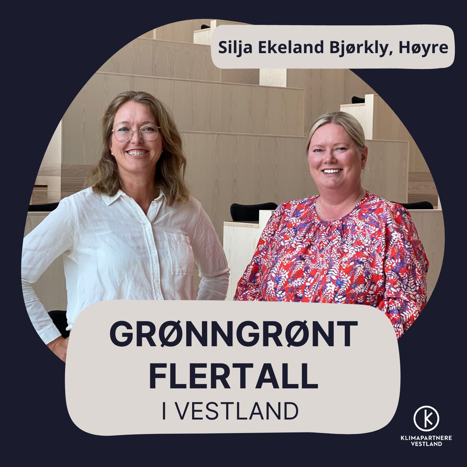 Operasjon Nullutslipp