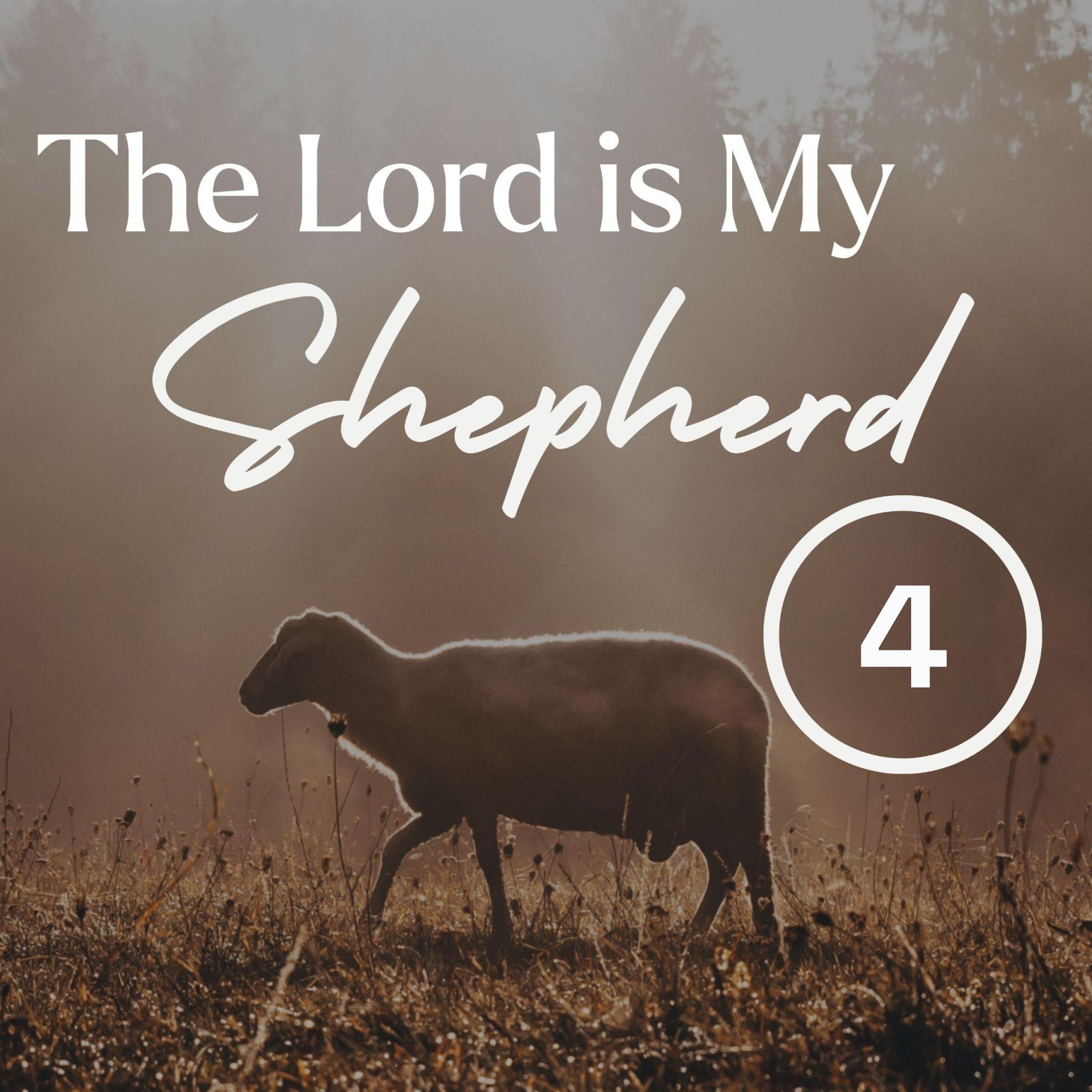 Open the Bible UK Broadcast