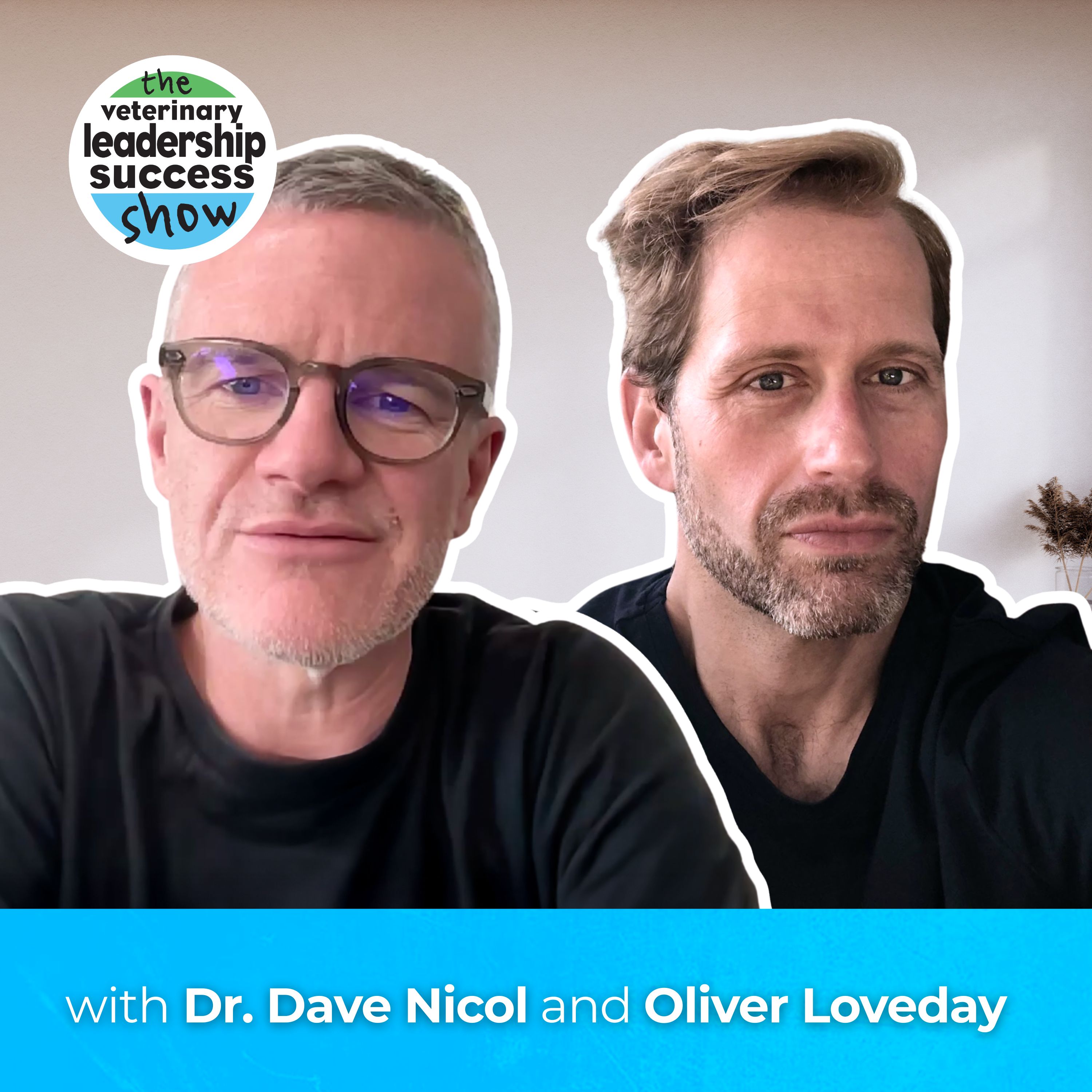 The Veterinary Leadership Success Show