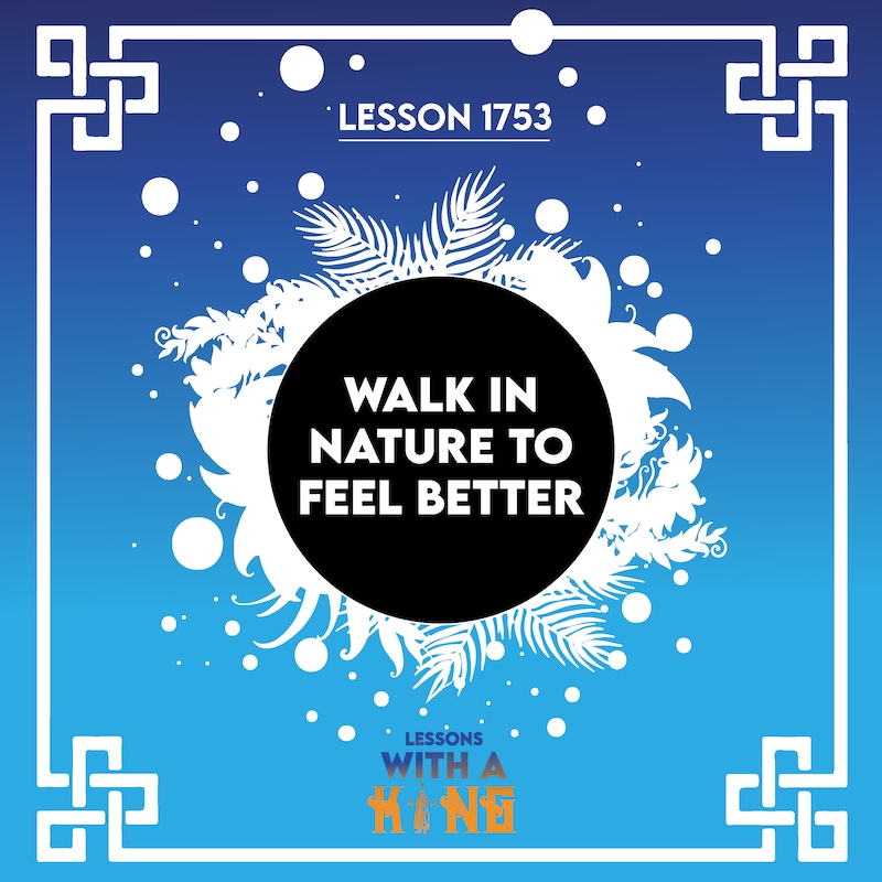 Artwork for podcast Lessons With A King