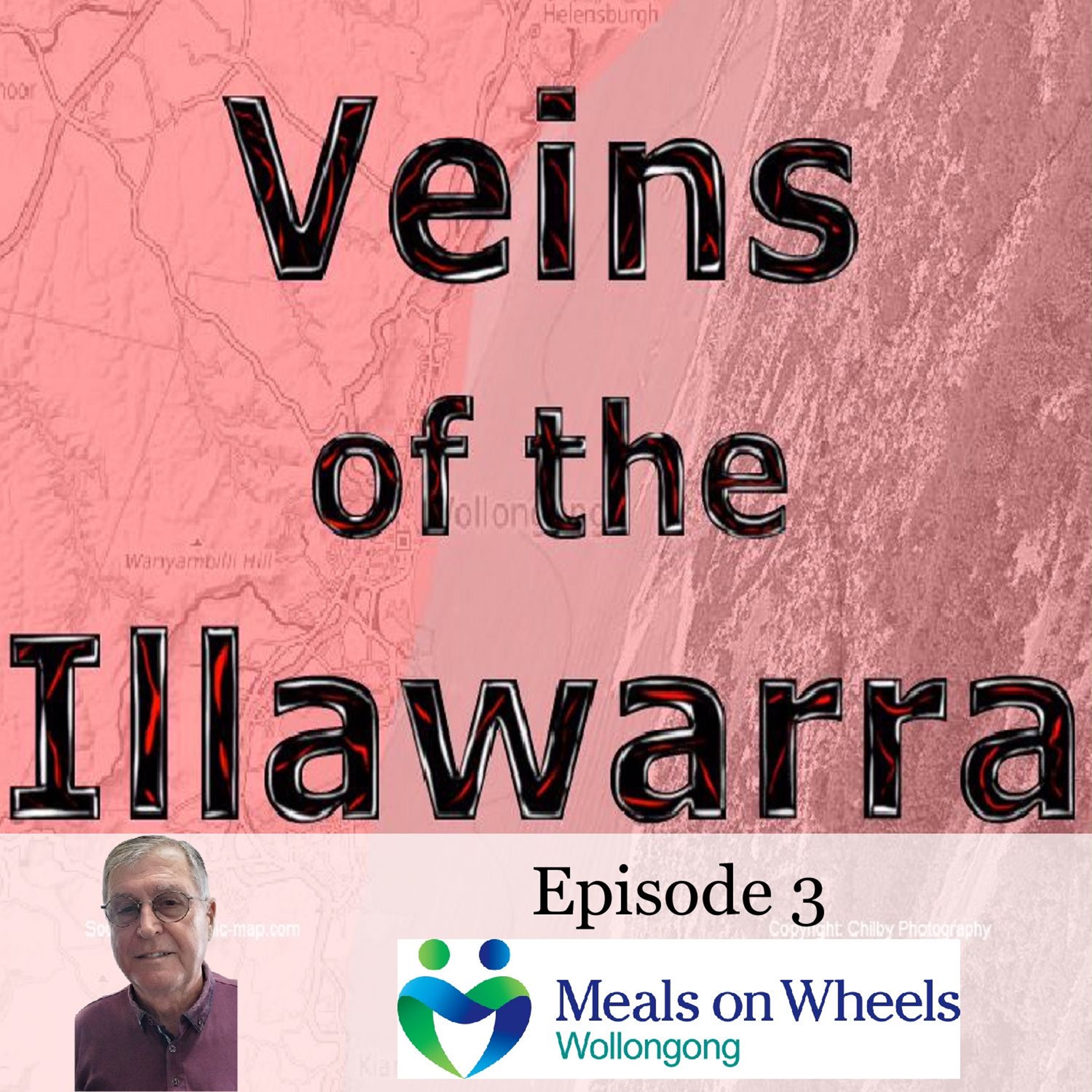 Veins of the Illawarra