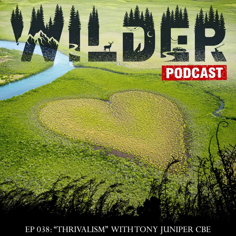 Artwork for podcast Wilder Podcast
