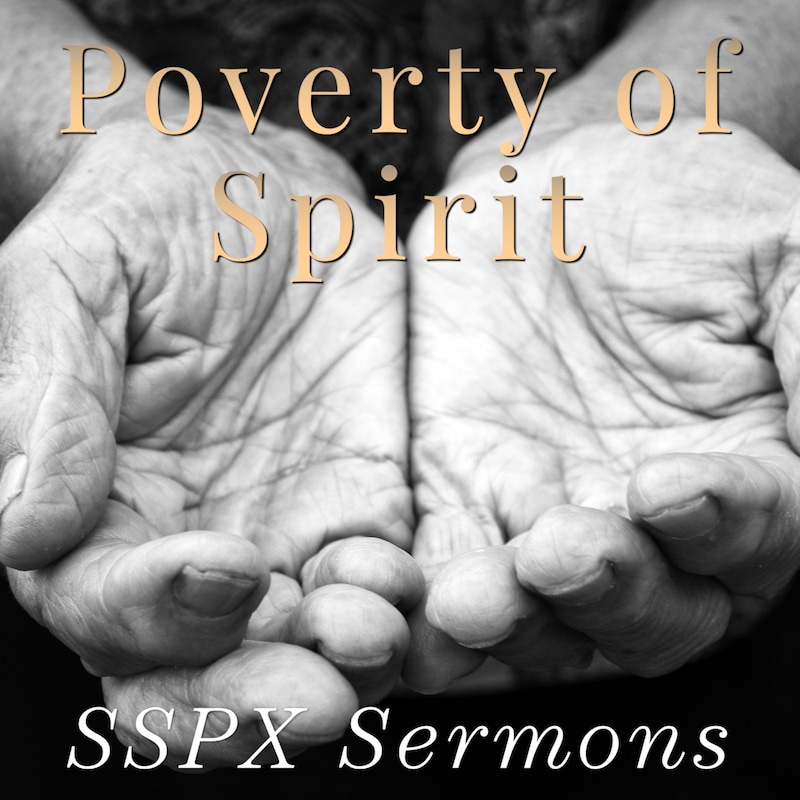 Artwork for podcast SSPX Sermons
