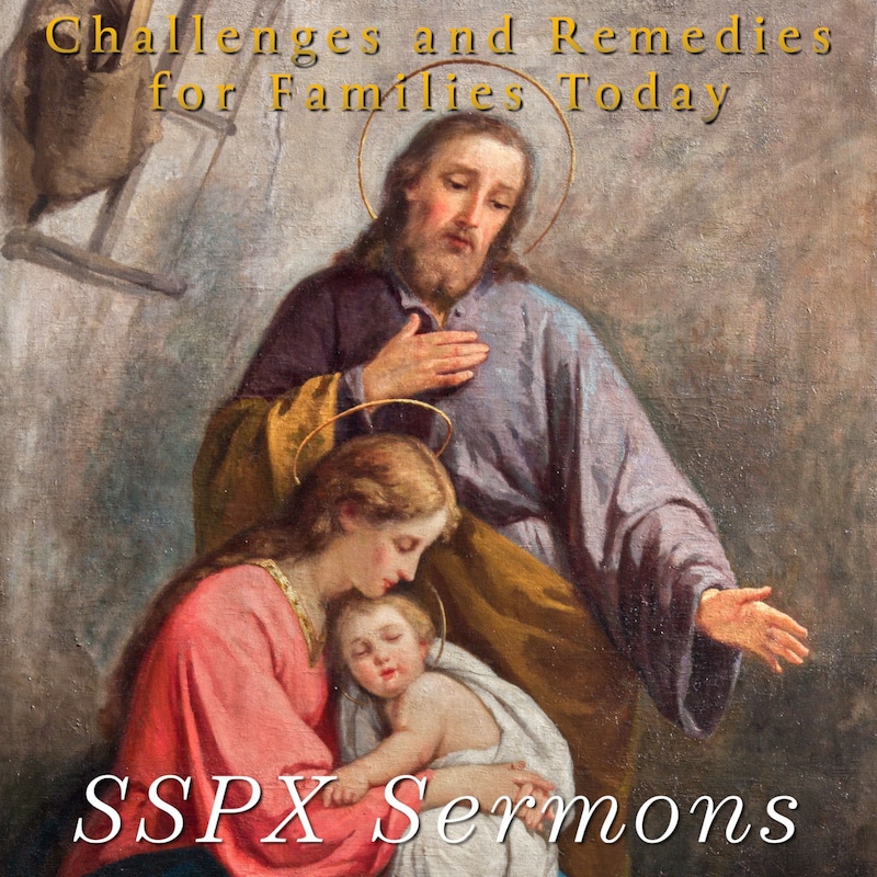 Artwork for podcast SSPX Sermons